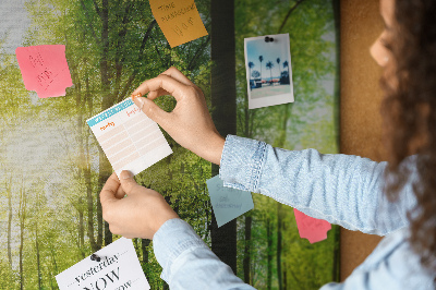 Quadro de aviso de cortiça Árvores da floresta natural