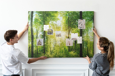 Quadro de aviso de cortiça Árvores da floresta natural