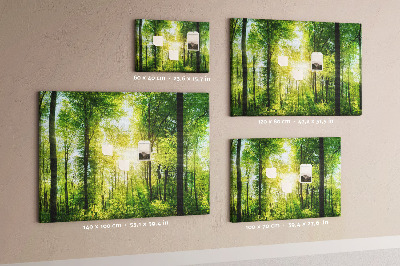 Quadro de aviso de cortiça Árvores da floresta natural