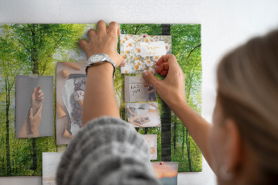 Quadro de aviso de cortiça Árvores da floresta natural