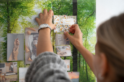 Quadro de aviso de cortiça Árvores da floresta natural