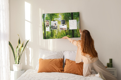 Quadro de aviso de cortiça Árvores da floresta natural