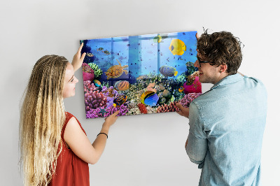 Quadro magnético de parede Vida subaquática