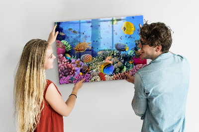 Quadro magnético de parede Vida subaquática