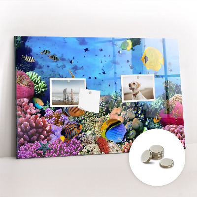 Quadro magnético de parede Vida subaquática