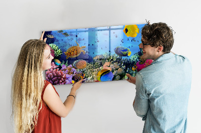 Quadro magnético de parede Vida subaquática