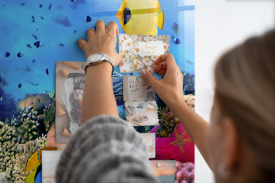 Quadro magnético de parede Vida subaquática