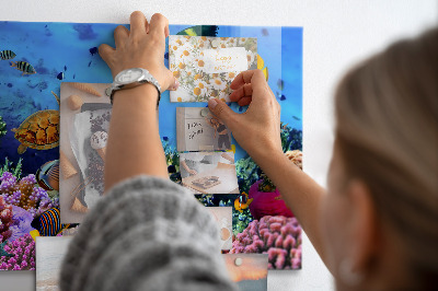 Quadro magnético de parede Vida subaquática