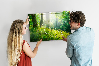 Quadro magnético de parede Natureza da primavera