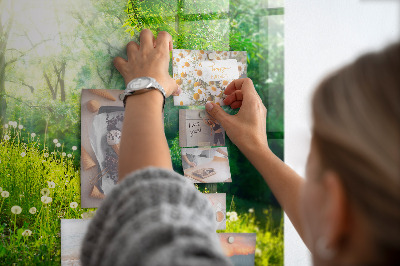 Quadro magnético de parede Natureza da primavera