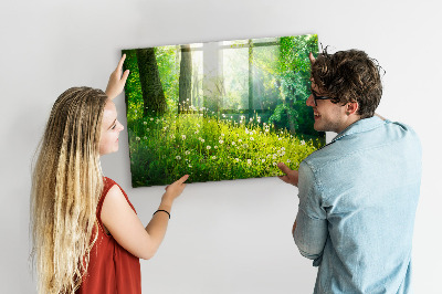 Quadro magnético de parede Natureza da primavera