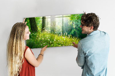 Quadro magnético de parede Natureza da primavera
