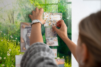 Quadro magnético de parede Natureza da primavera