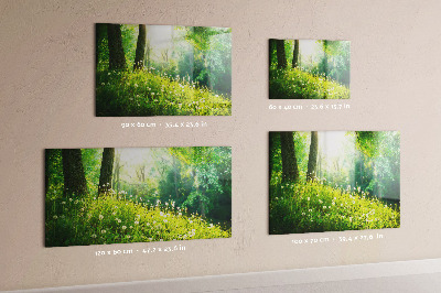 Quadro magnético de parede Natureza da primavera