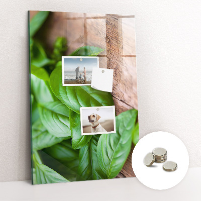 Quadro magnético decorativo Folhas de manjericão