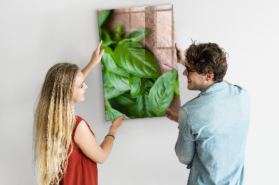 Quadro magnético decorativo Folhas de manjericão