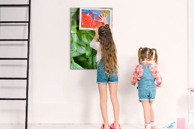 Quadro magnético decorativo Folhas de manjericão