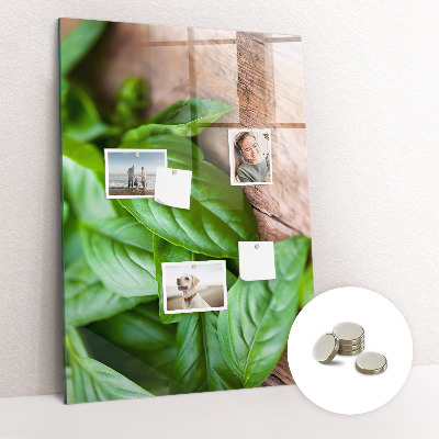 Quadro magnético decorativo Folhas de manjericão