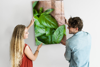 Quadro magnético decorativo Folhas de manjericão