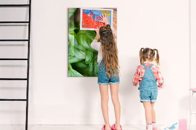 Quadro magnético decorativo Folhas de manjericão