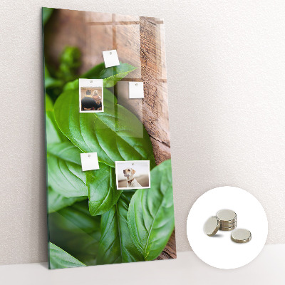 Quadro magnético decorativo Folhas de manjericão