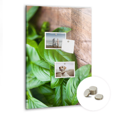 Quadro magnético decorativo Folhas de manjericão