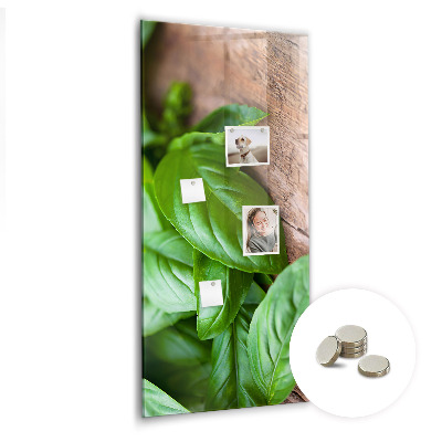 Quadro magnético decorativo Folhas de manjericão