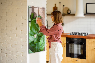 Quadro magnético decorativo Folhas de manjericão