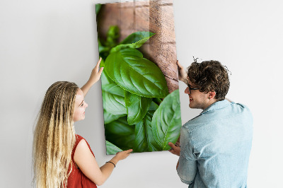 Quadro magnético decorativo Folhas de manjericão