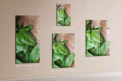 Quadro magnético decorativo Folhas de manjericão