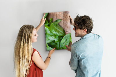 Quadro magnético decorativo Folhas de manjericão