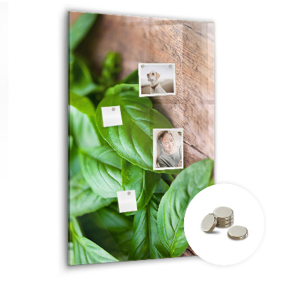 Quadro magnético decorativo Folhas de manjericão