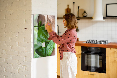 Quadro magnético decorativo Folhas de manjericão