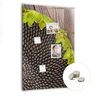 Quadro magnético decorativo Sementes de girassol