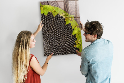 Quadro magnético decorativo Sementes de girassol