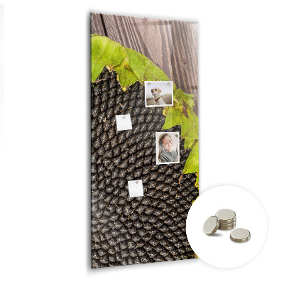 Quadro magnético decorativo Sementes de girassol
