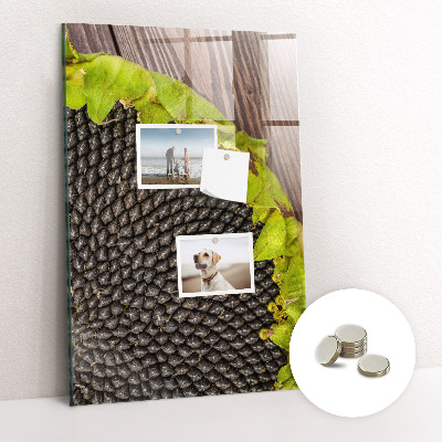 Quadro magnético decorativo Sementes de girassol