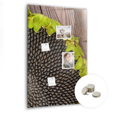 Quadro magnético decorativo Sementes de girassol