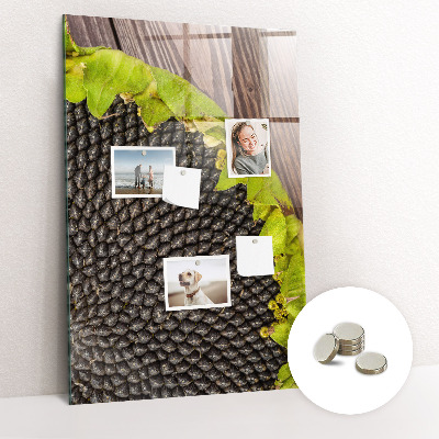 Quadro magnético decorativo Sementes de girassol