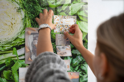 Quadro magnético Alface suculenta