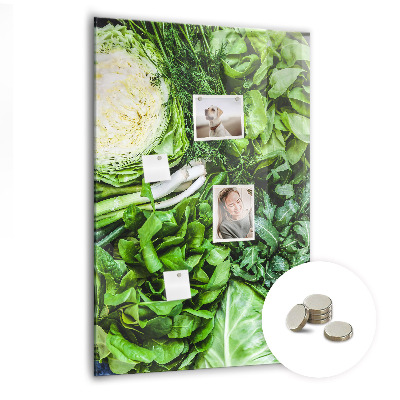 Quadro magnético Alface suculenta