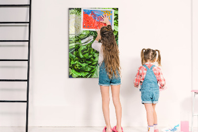 Quadro magnético Alface suculenta
