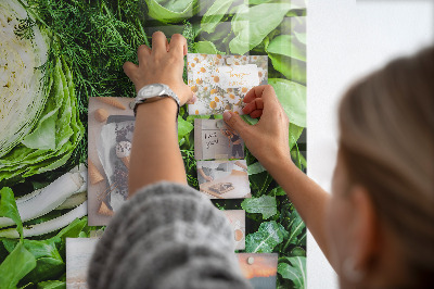 Quadro magnético Alface suculenta