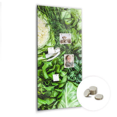 Quadro magnético Alface suculenta