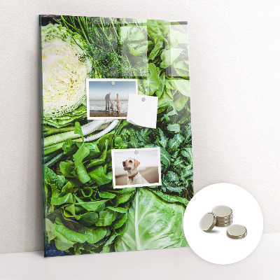 Quadro magnético Alface suculenta