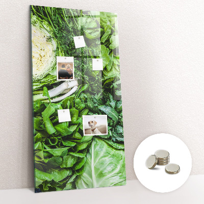 Quadro magnético Alface suculenta