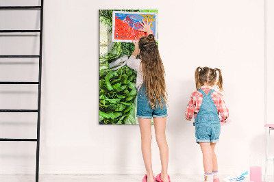 Quadro magnético Alface suculenta