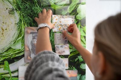 Quadro magnético Alface suculenta