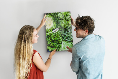 Quadro magnético Alface suculenta