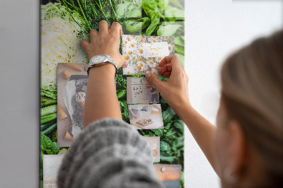 Quadro magnético Alface suculenta